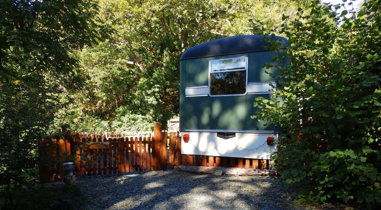 Showman'S Wagon At Coed Cae Penmaenpool Екстериор снимка